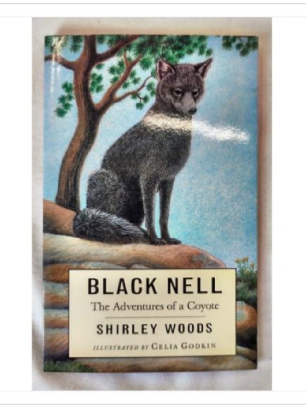 Black Nell Shirley Woods 1998 ISBN 0-88899-318-8